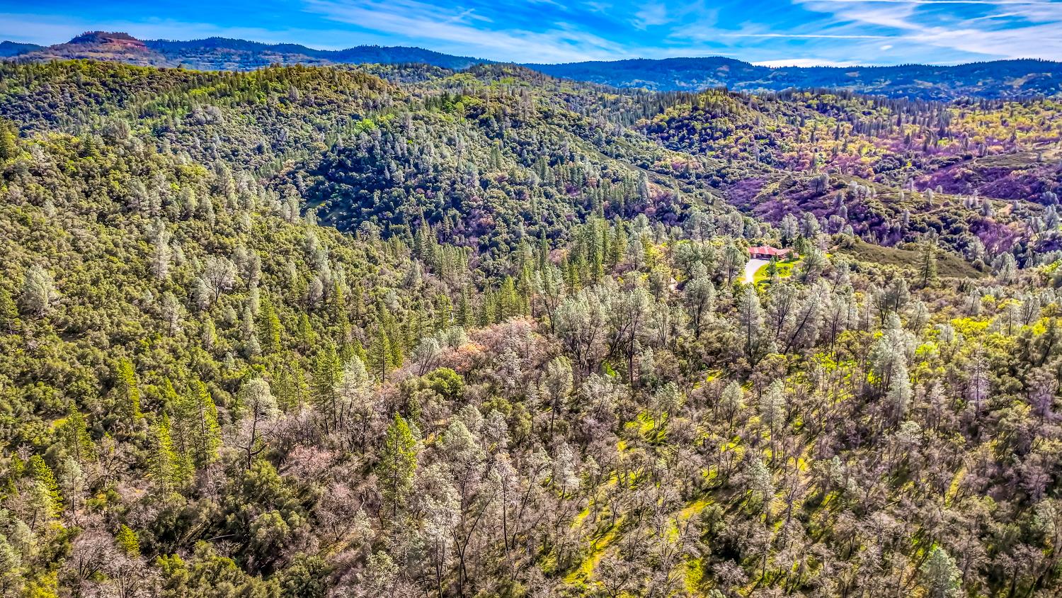 5603 5603 Gold Mountain, Mountain Ranch, California, 95246, USA, 3 Bedrooms Bedrooms, ,2 BathroomsBathrooms,Residential,For Sale,5603 Gold Mountain,226031383