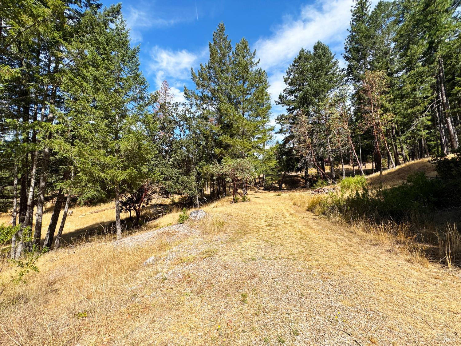 4101 4101 Chinquapin Drive, Willits, California, 95490, USA, 2 Bedrooms Bedrooms, ,2 BathroomsBathrooms,Residential,For Sale,4101 Chinquapin Drive,5bb40849-5147-46af-9ad1-ad94d3