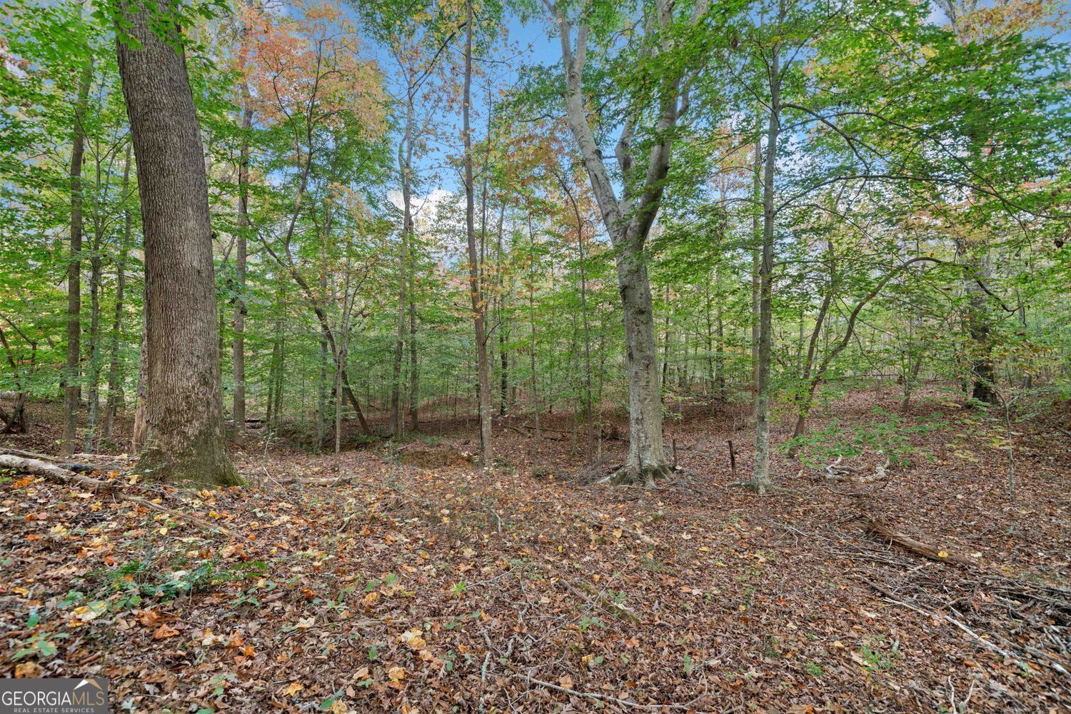 Rare opportunity to own 9 beautiful acres in the highly sought-after C – image 1