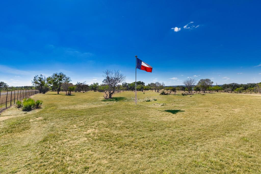 Four friendly Barbados sheep on 10 ag-exempt acres in the heart of the – image 28