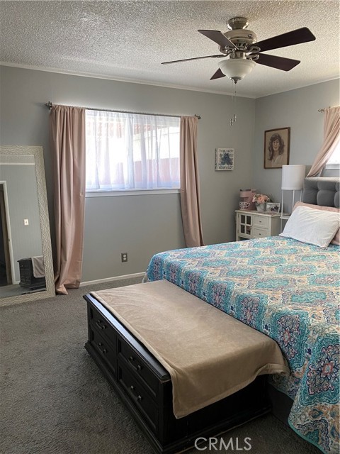 Ranch Style Single story home with over One acre lot - Sits high on a – image 8