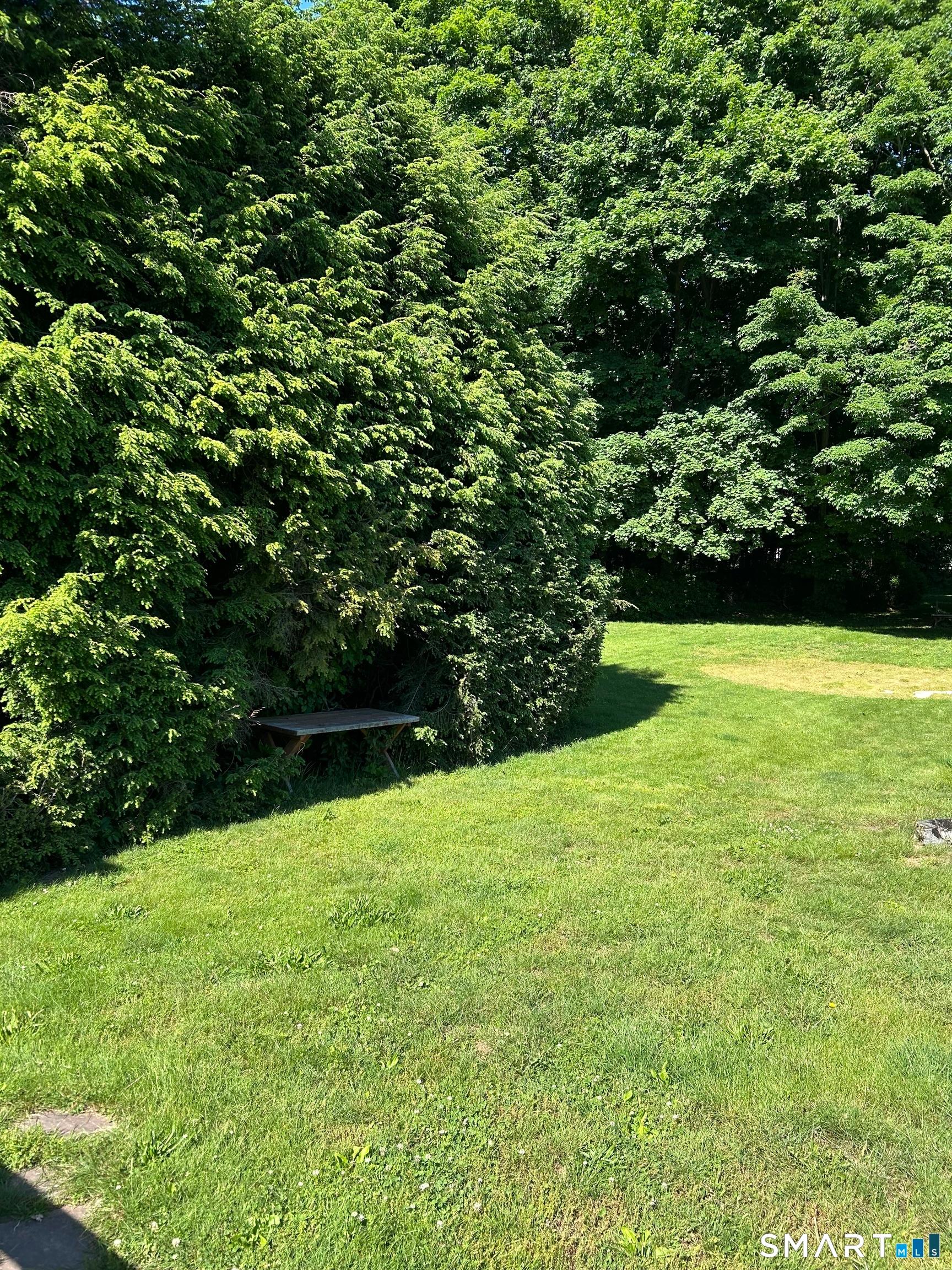 Professional photos coming soon of this warm, welcoming home! This met – image 8