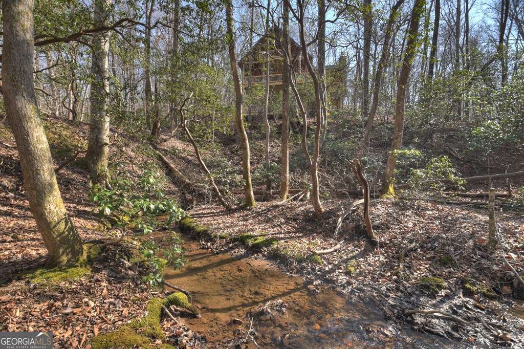 Endless Adventure Awaits where the Heart of the Cohutta Wilderness Are – image 6
