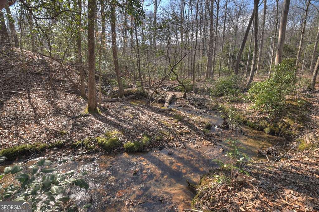 Endless Adventure Awaits where the Heart of the Cohutta Wilderness Are – image 21
