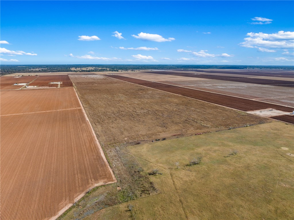 173.62 Acres Fm 50, Hearne, Texas, 77859, USA, ,Land,For Sale,173.62 Acres Fm 50,25011919