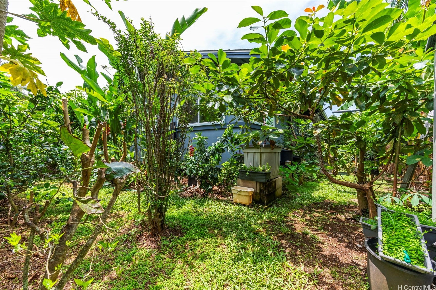 Welcome to this updated 3 bedroom, 2 bath single family home in the lu – image 17