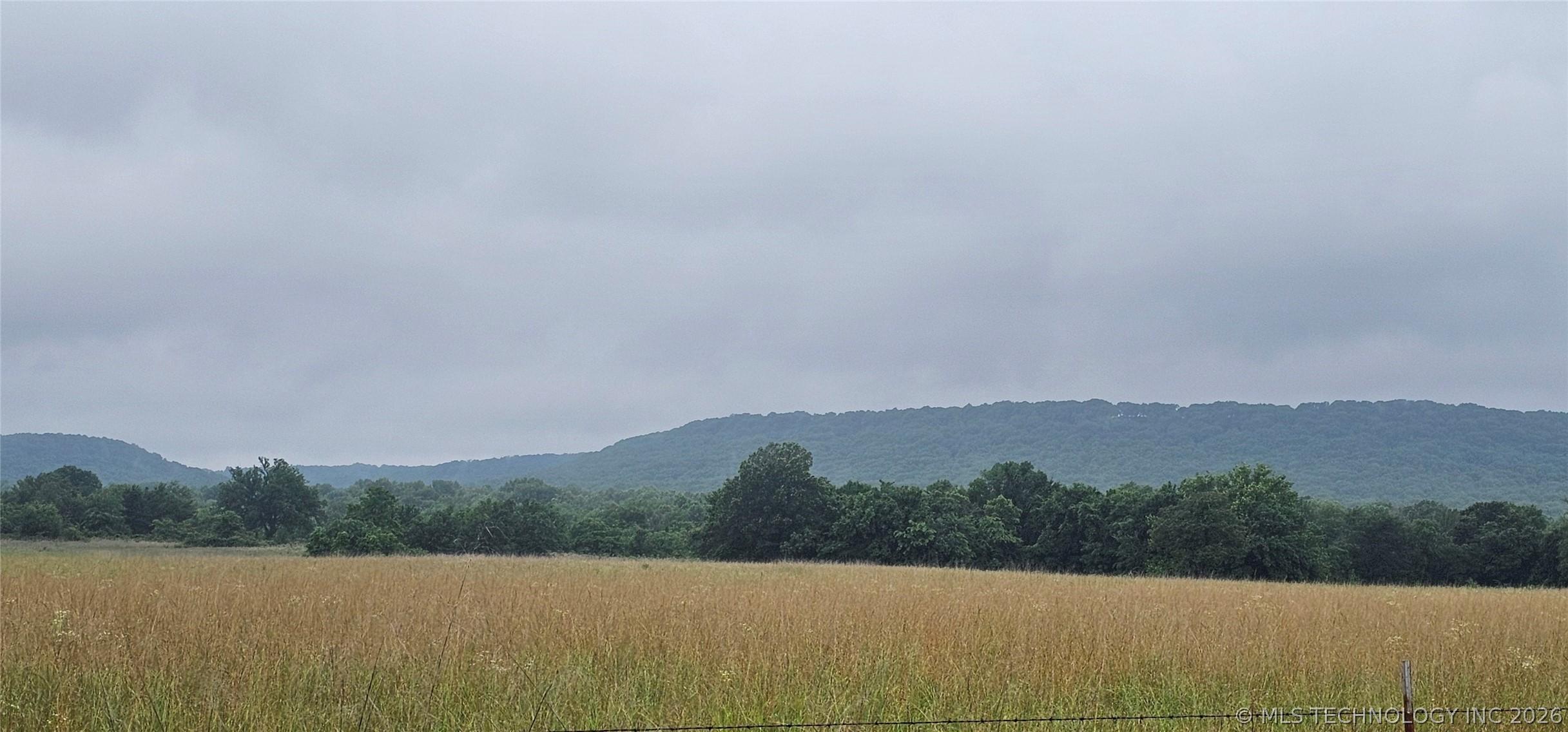 196 +/- premium pasture acres ideal for grazing or hay production with – image 8