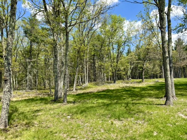 125 125 Mapes Road, Barryville, New York, 12719, USA, 5 Bedrooms Bedrooms, ,4 BathroomsBathrooms,Residential,For Sale,125 Mapes Road,aa92d56b-a59e-44da-a67a-e9124f