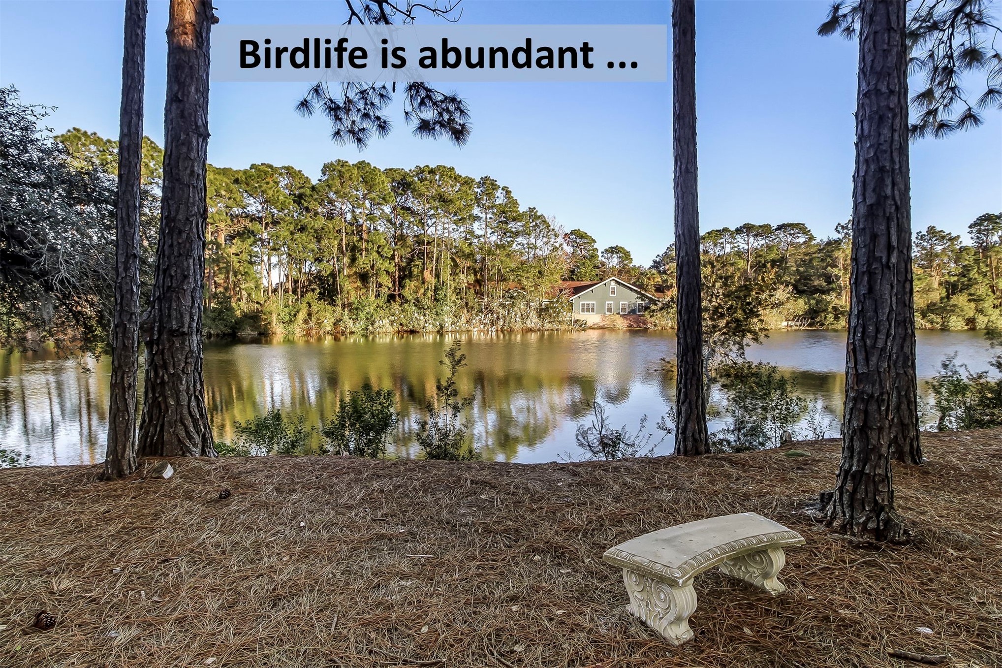 NATURE-FILLED, WALKABLE, AND UNLIKE ANYTHING ELSE ON AMELIA ISLAND, Am – image 60