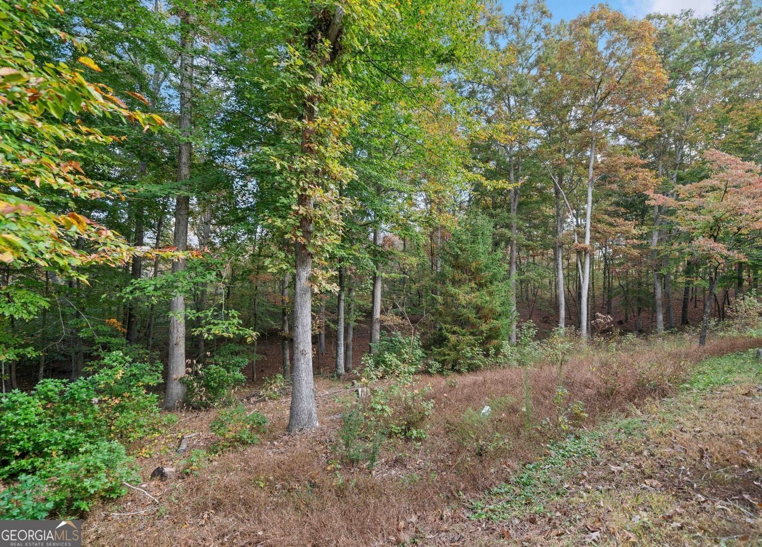 Rare opportunity to own 9 beautiful acres in the highly sought-after C – image 3