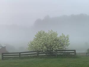 Offering One of the Most Beautiful Farms in Nicholas County A Rare opp – image 39