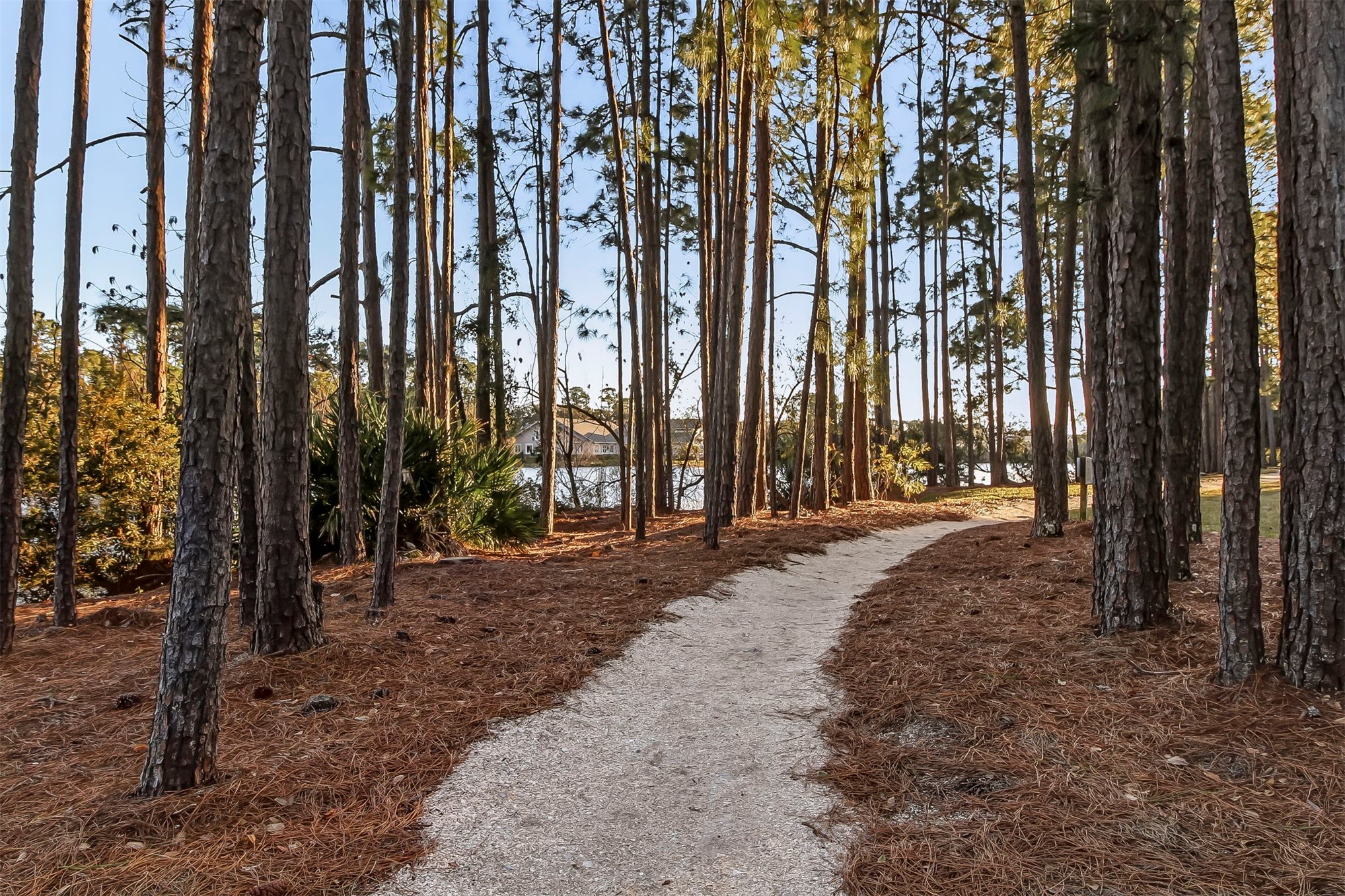 NATURE-FILLED, WALKABLE, AND UNLIKE ANYTHING ELSE ON AMELIA ISLAND, Am – image 62