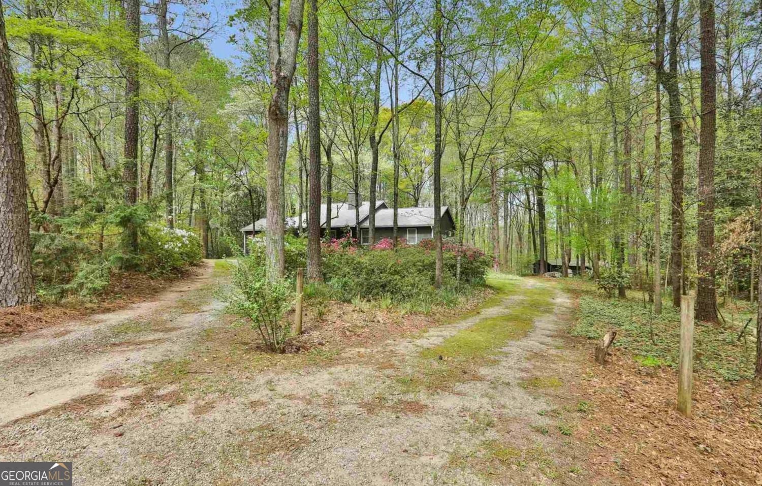 Welcome to 385 Vaughn Road-a private, 5.63-acre botanical sanctuary an – image 4