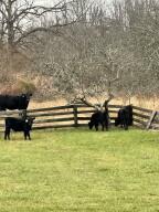 Offering One of the Most Beautiful Farms in Nicholas County A Rare opp – image 42
