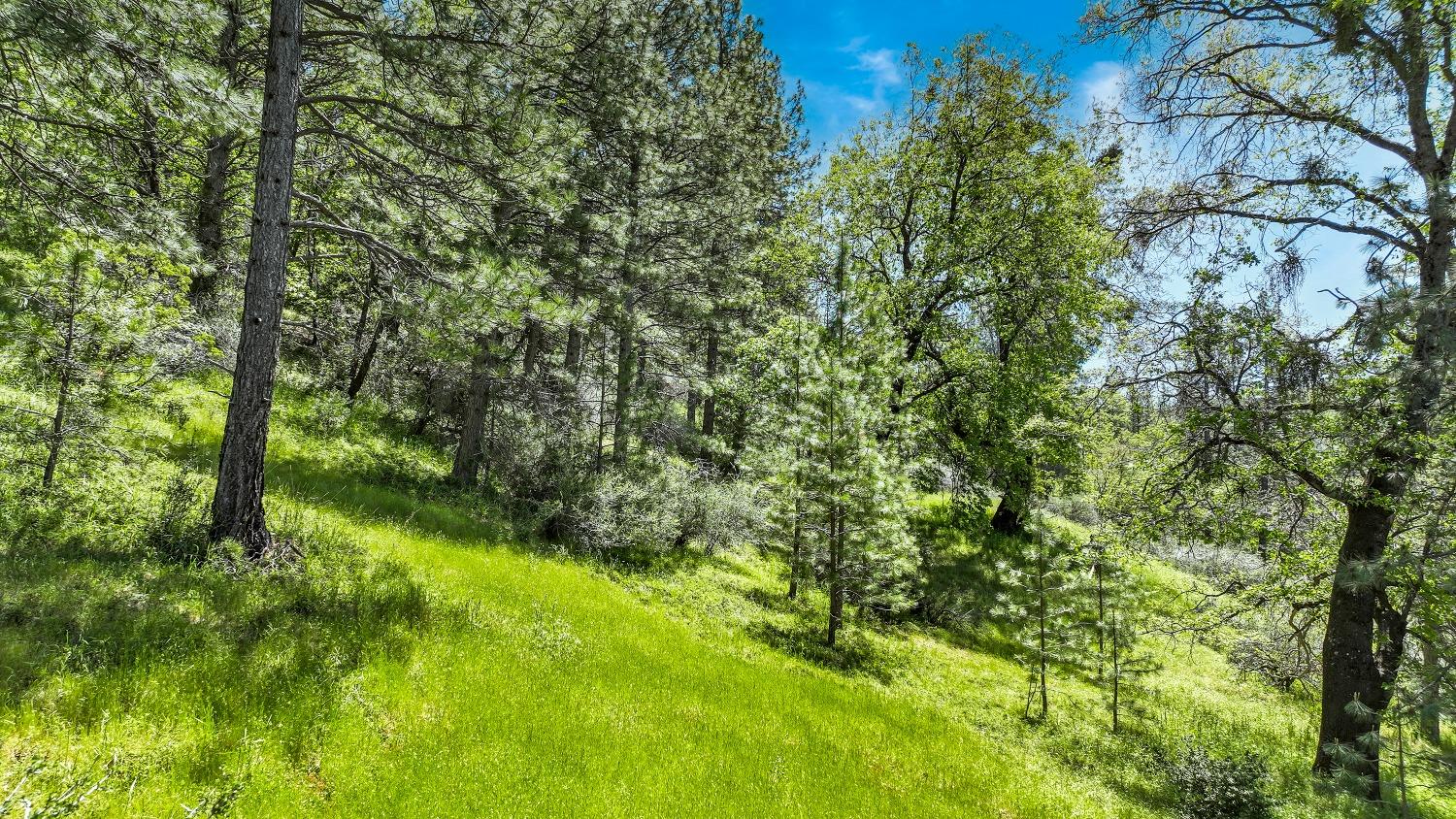 7698 7698 Swiss Ranch Road, Mountain Ranch, California, 95246, USA, ,Land,For Sale,7698 Swiss Ranch Road,226030980