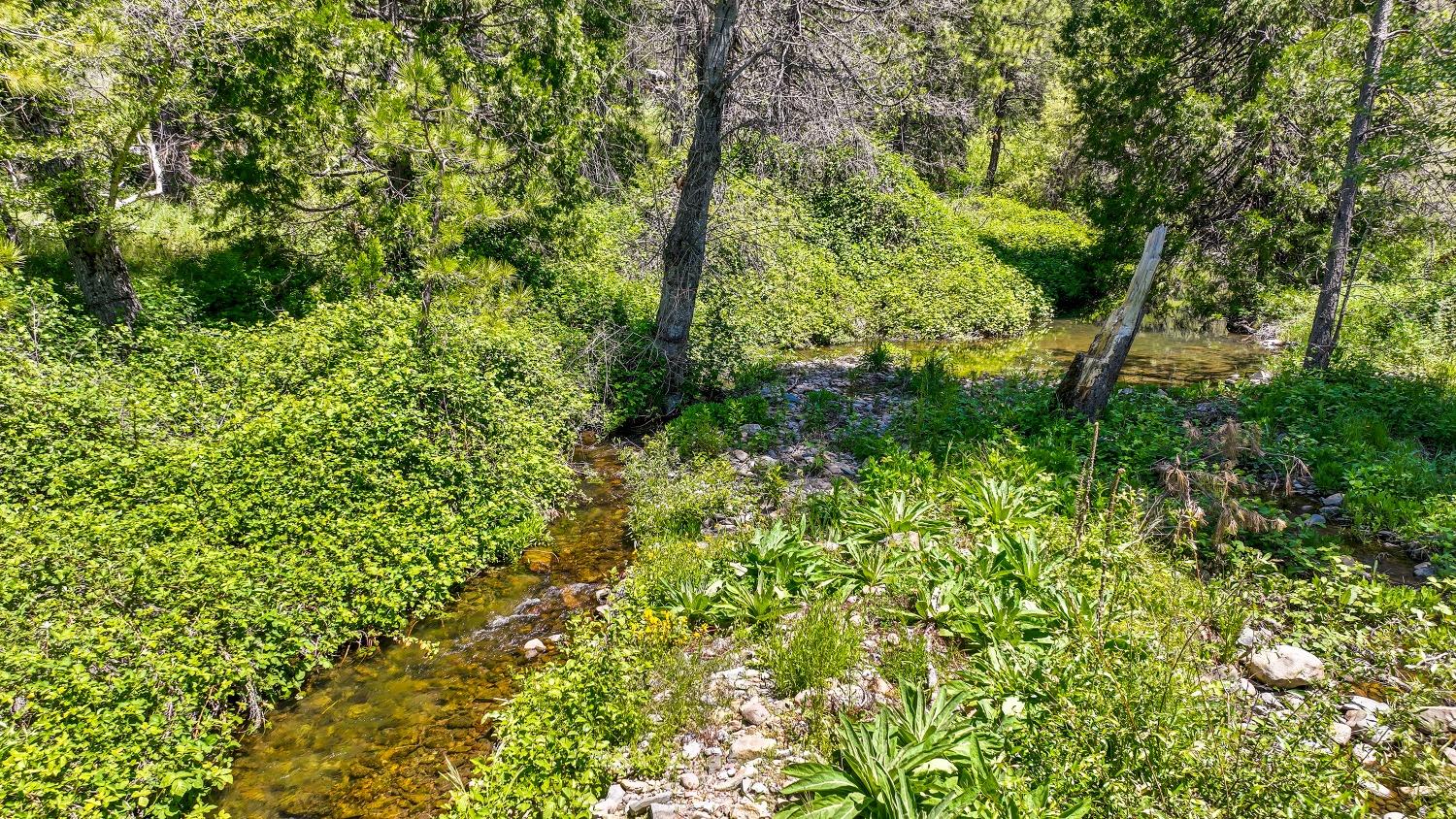 7698 7698 Swiss Ranch Road, Mountain Ranch, California, 95246, USA, ,Land,For Sale,7698 Swiss Ranch Road,226030980