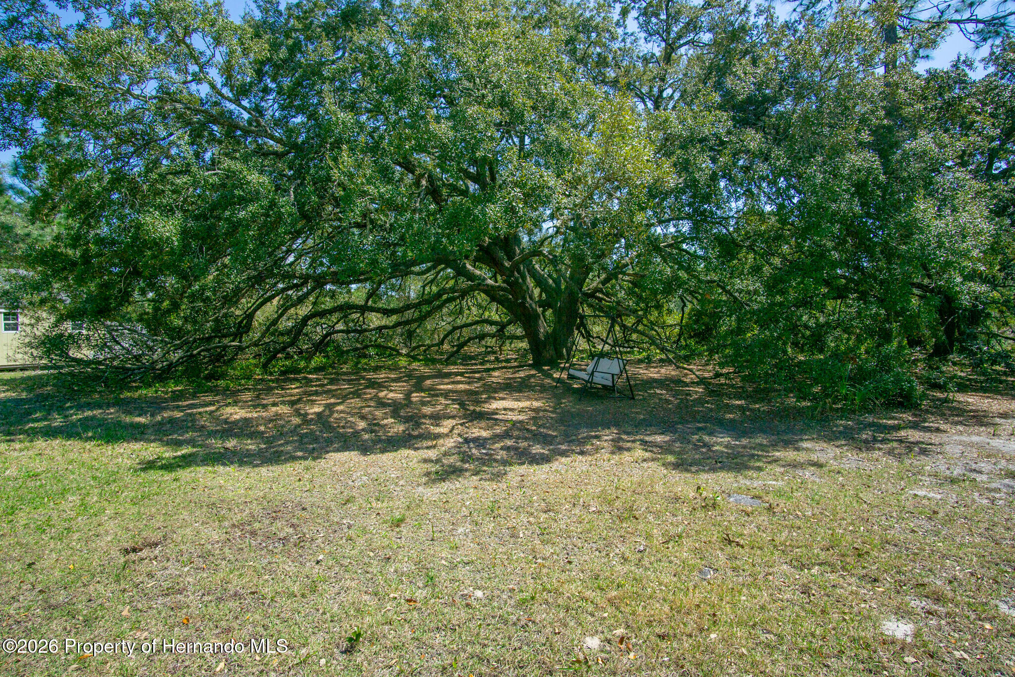 New Price Improvement & New Roof Completed June 2026! Enjoy the freedo – image 46