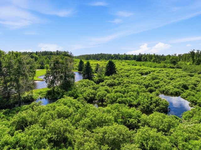Your country oasis awaits! Once you see this beautiful home situated d – image 51