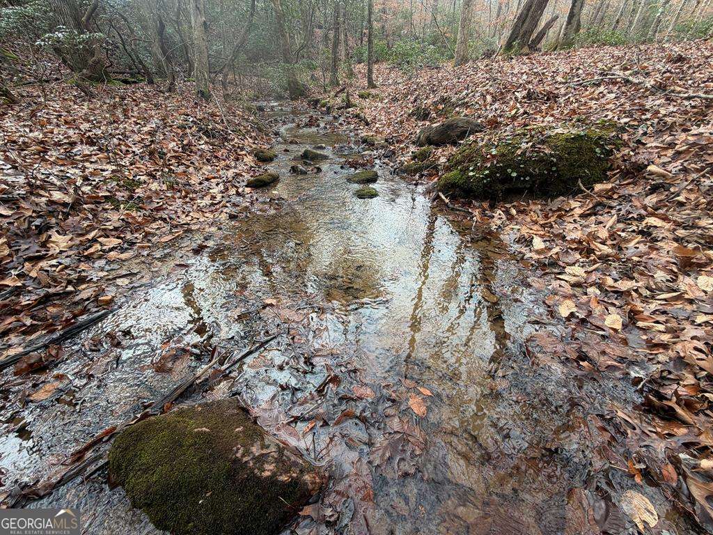 Endless Adventure Awaits where the Heart of the Cohutta Wilderness Are – image 72