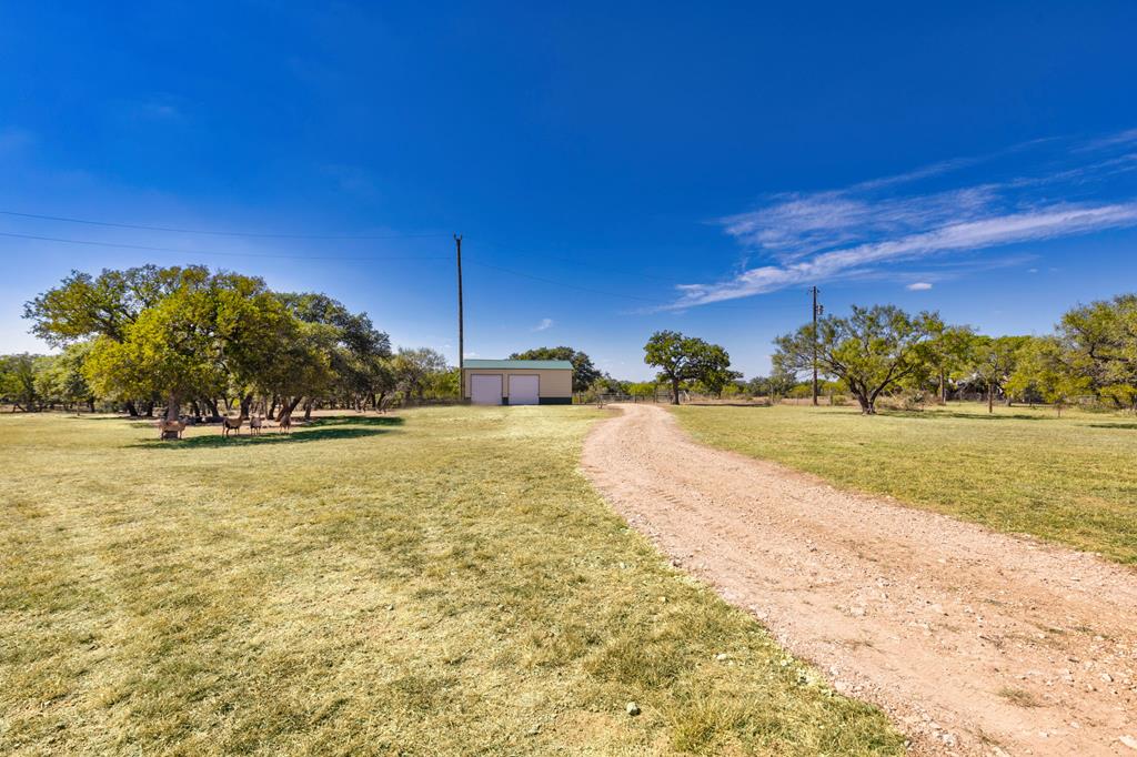 Four friendly Barbados sheep on 10 ag-exempt acres in the heart of the – image 34