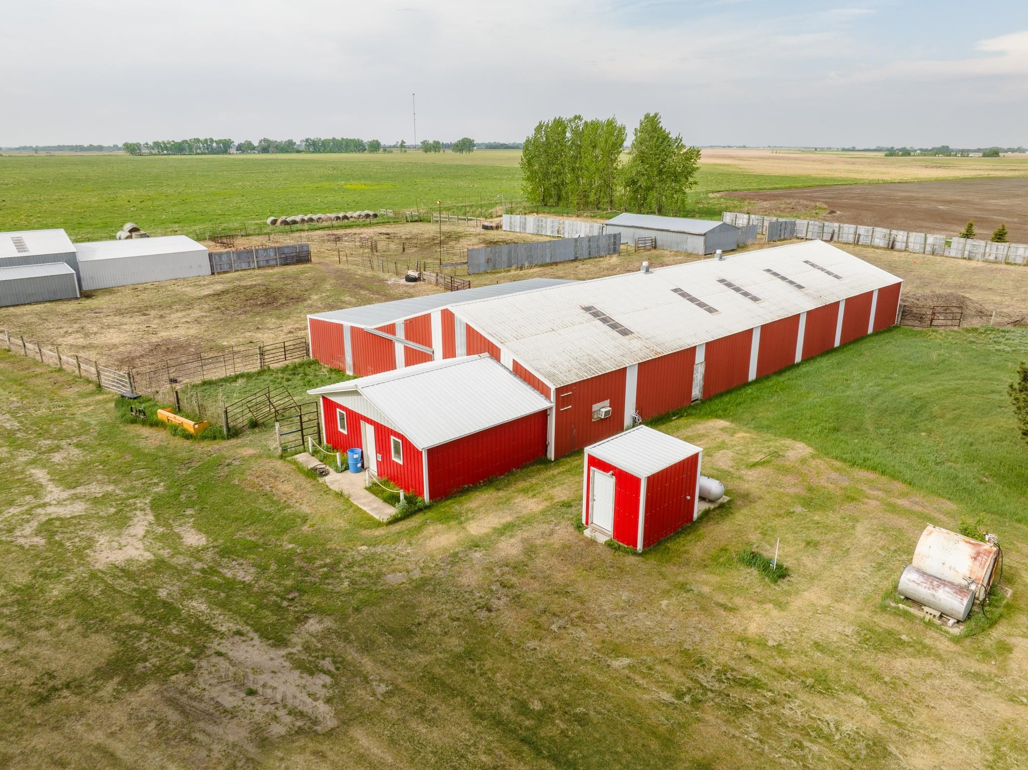 HWY 2 east of Granville 2 miles to 10 Ave N, Turn north second farm on – image 13