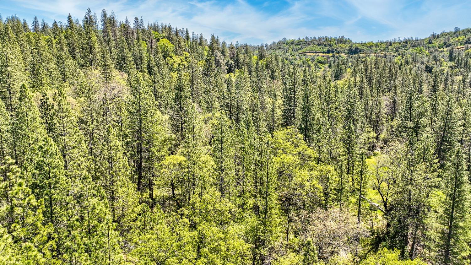 7698 7698 Swiss Ranch Road, Mountain Ranch, California, 95246, USA, ,Land,For Sale,7698 Swiss Ranch Road,226030980