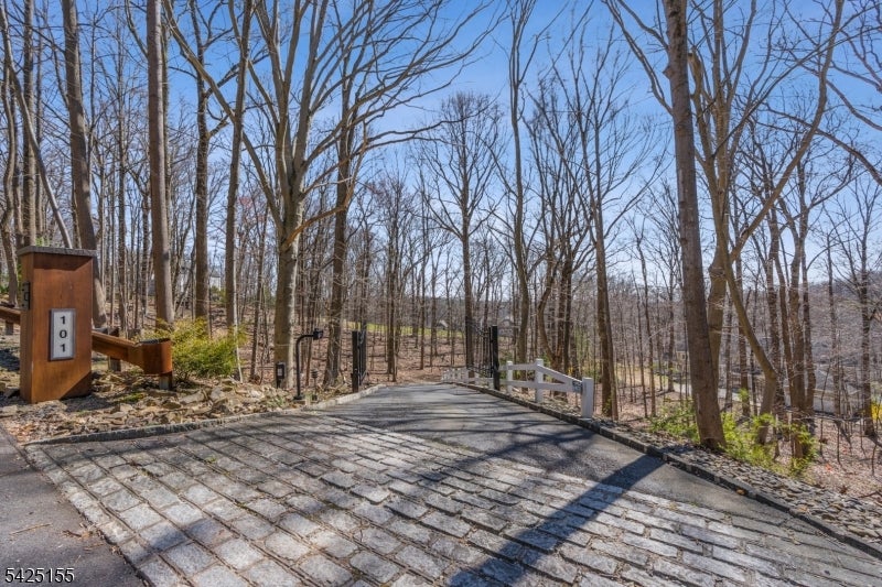 101 101 Rippling Brook Way, Bernardsville Boro, New Jersey, 07924, USA, 5 Bedrooms Bedrooms, ,6 BathroomsBathrooms,Residential,For Sale,101 Rippling Brook Way,577f9cd8-fa0c-47f1-aac6-9fba50