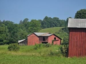 Offering One of the Most Beautiful Farms in Nicholas County A Rare opp – image 50