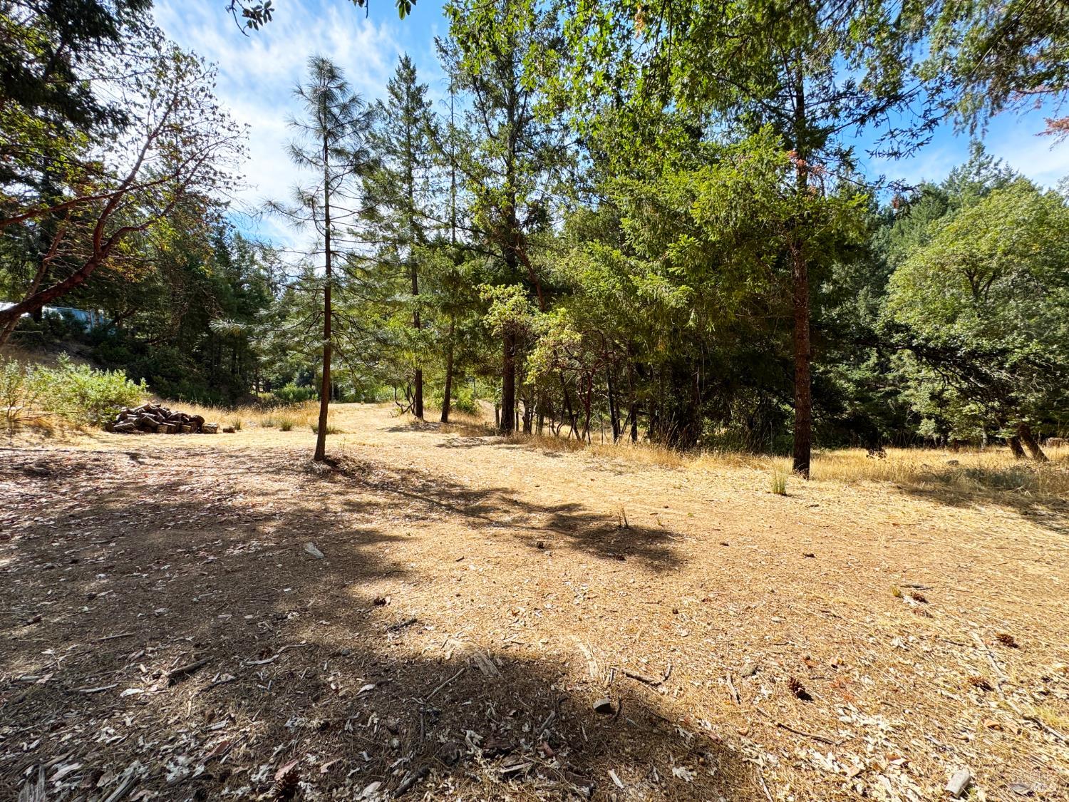 4101 4101 Chinquapin Drive, Willits, California, 95490, USA, 2 Bedrooms Bedrooms, ,2 BathroomsBathrooms,Residential,For Sale,4101 Chinquapin Drive,5bb40849-5147-46af-9ad1-ad94d3