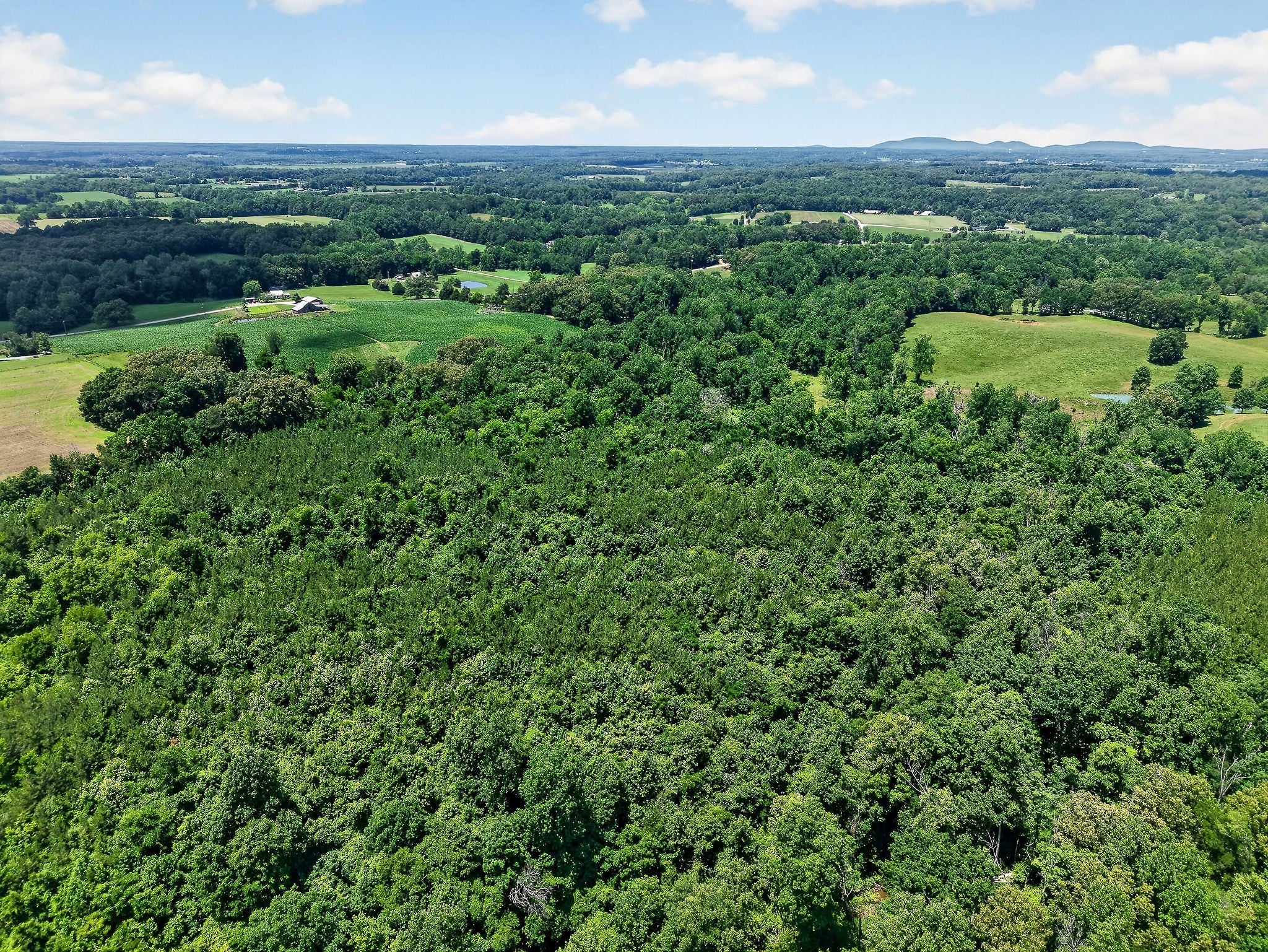 Opportunity, acreage, and potential all come together on this 41.16-ac – image 56
