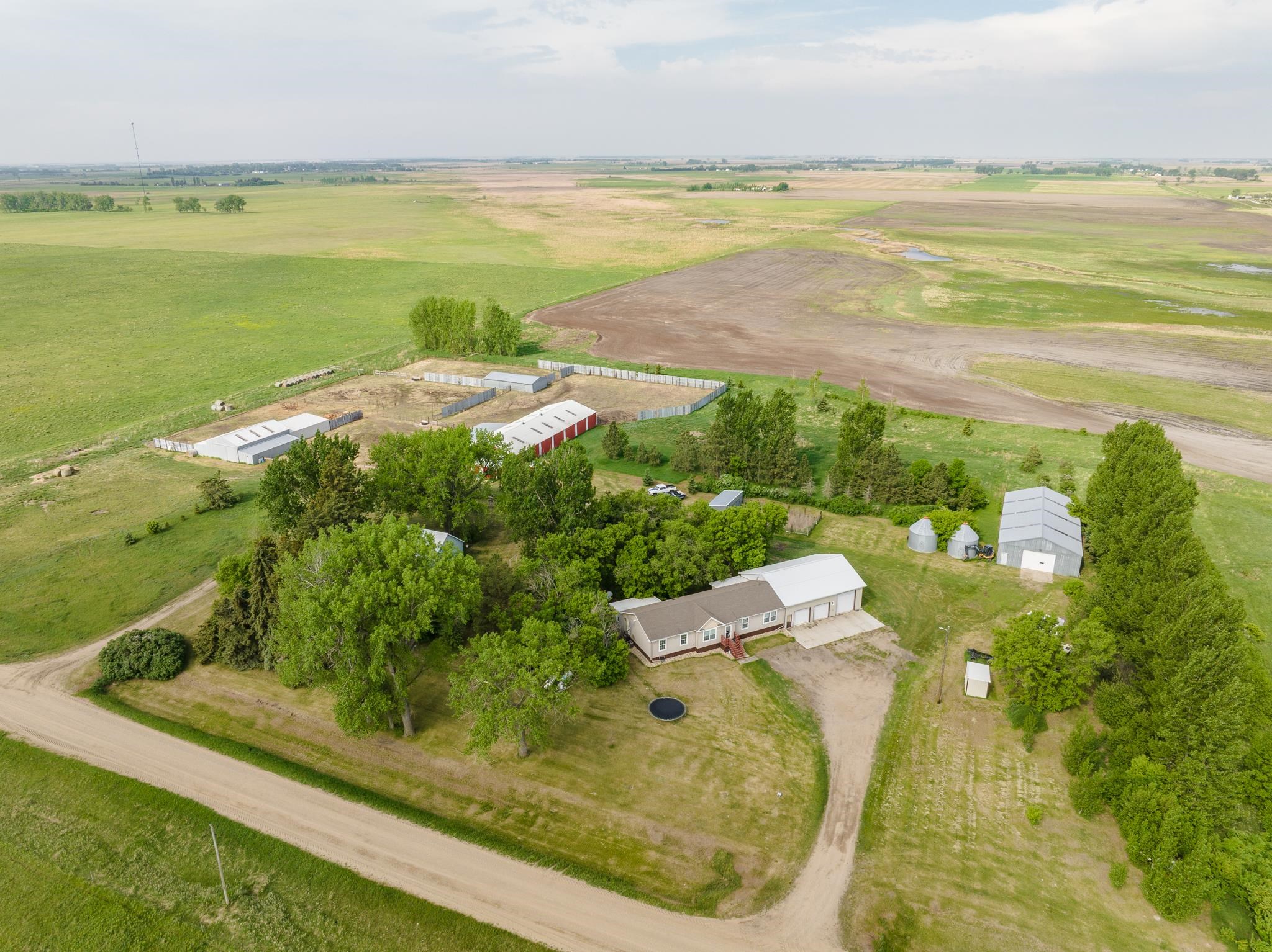 HWY 2 east of Granville 2 miles to 10 Ave N, Turn north second farm on – image 23
