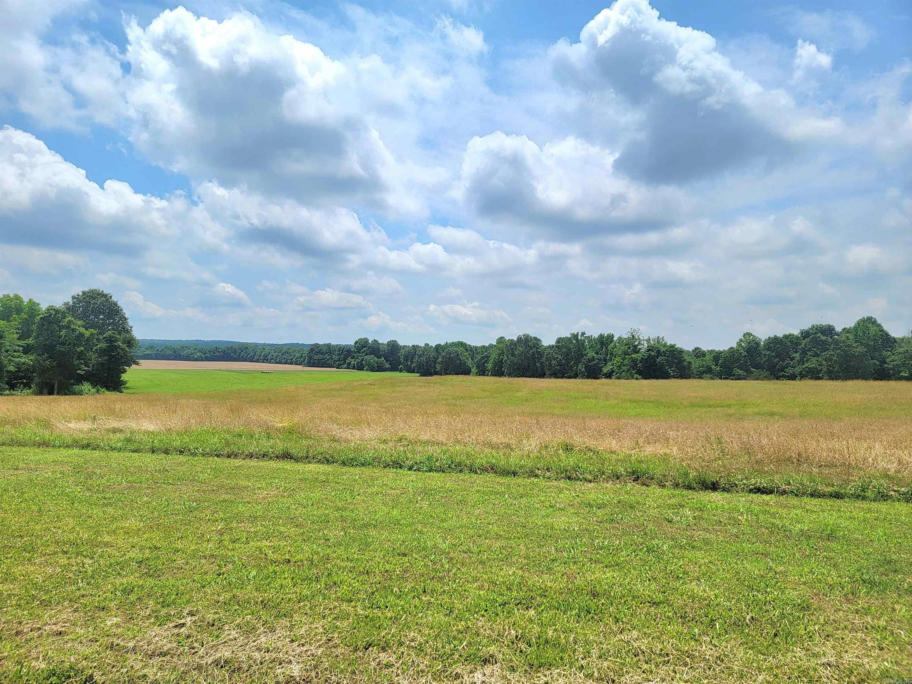 Turn North off of Hwy 412 West onto 609 Road. Follow around sharp curv – image 33