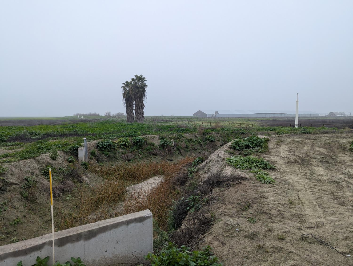 21075 21075 19th Avenue, Stratford, California, 93266, USA, 2 Bedrooms Bedrooms, ,1 BathroomBathrooms,Residential,For Sale,21075 19th Avenue,642560
