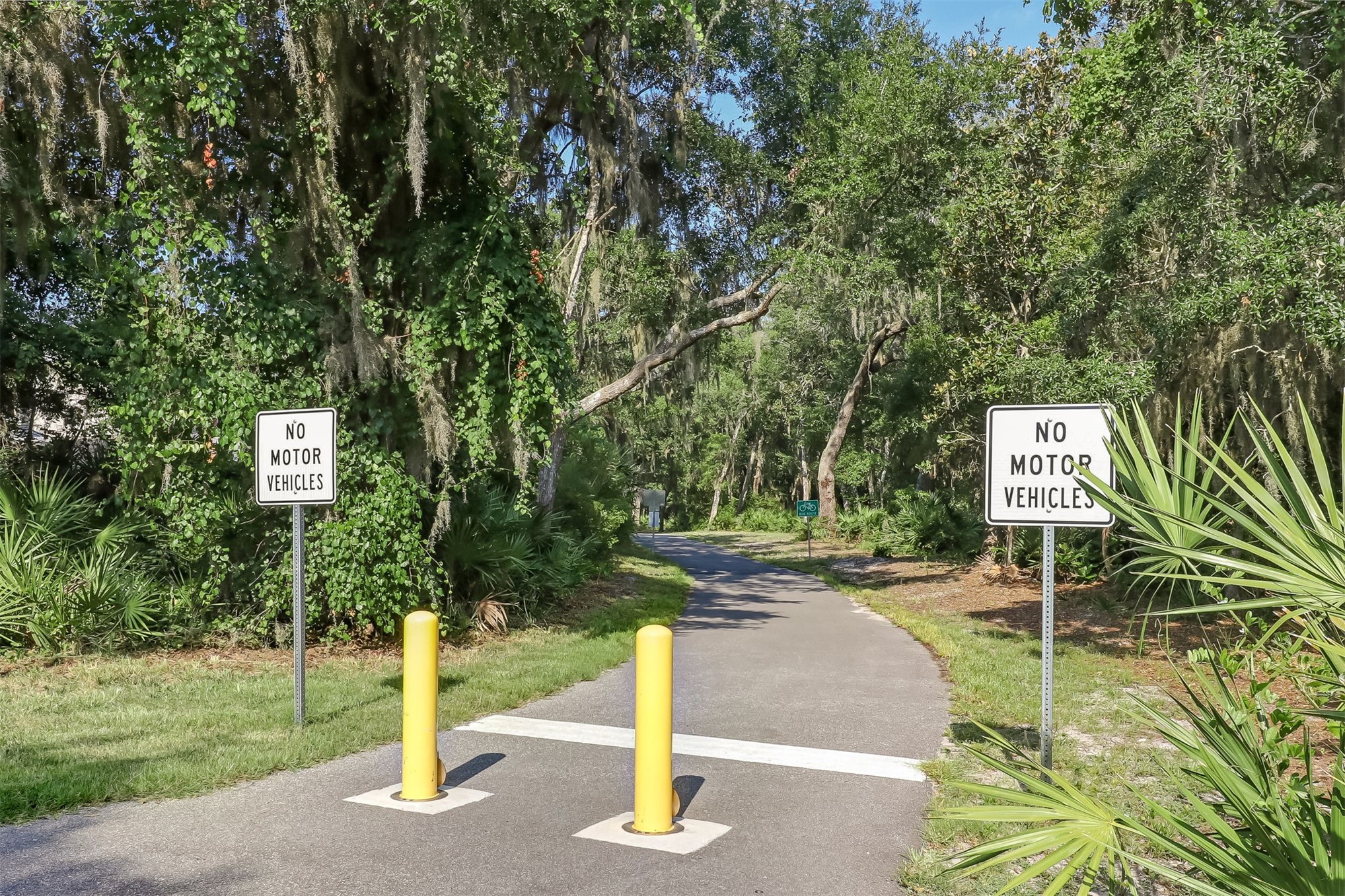 96159 96159 Hanging Moss Drive, Fernandina Beach, Florida, 32034, USA, 2 Bedrooms Bedrooms, ,3 BathroomsBathrooms,Residential,For Sale,96159 Hanging Moss Drive,114282