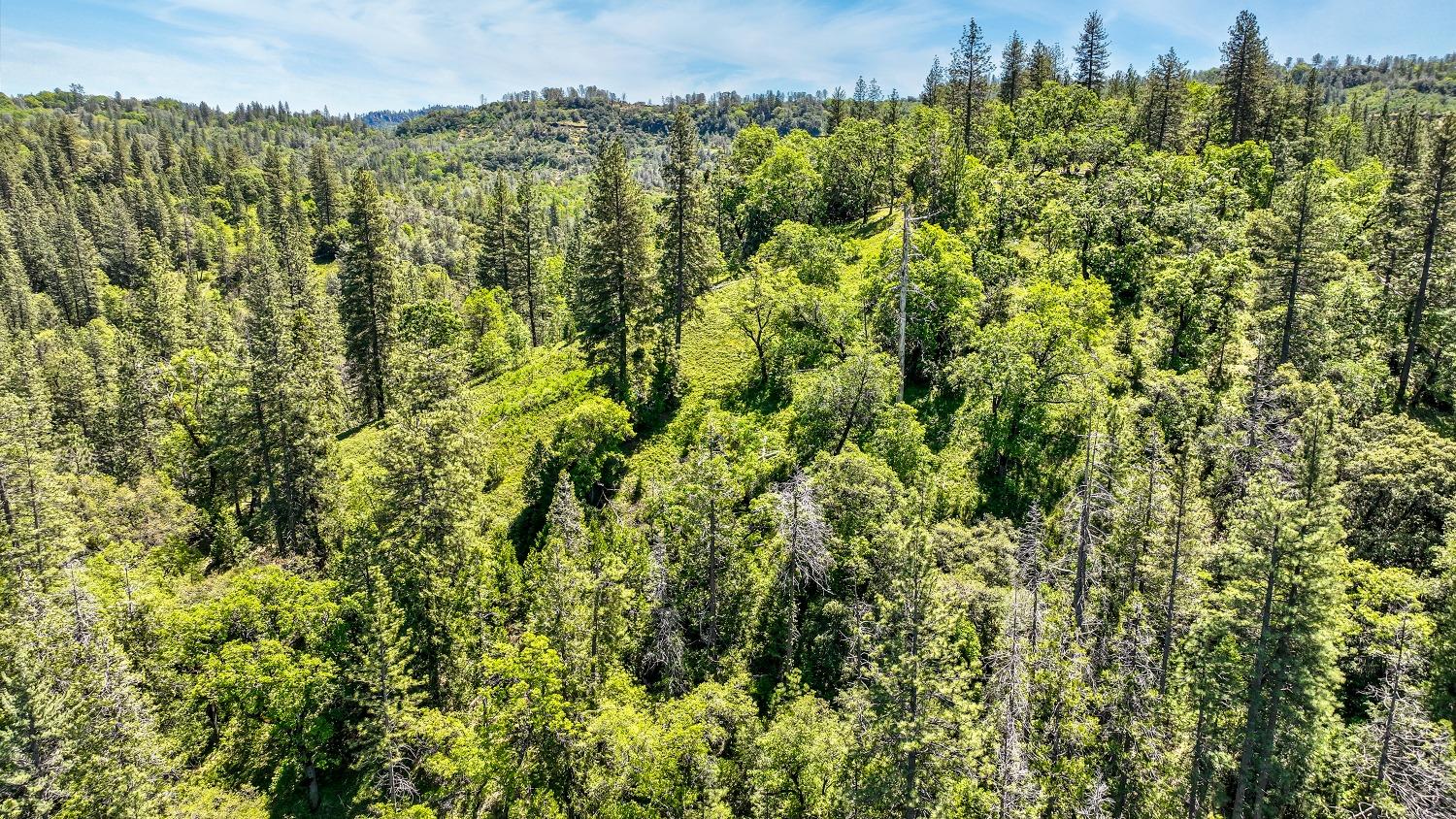 7698 7698 Swiss Ranch Road, Mountain Ranch, California, 95246, USA, ,Land,For Sale,7698 Swiss Ranch Road,226030980