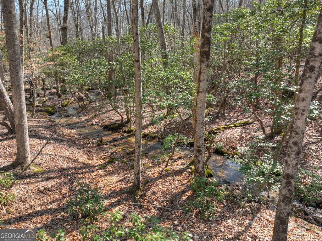 Endless Adventure Awaits where the Heart of the Cohutta Wilderness Are – image 30