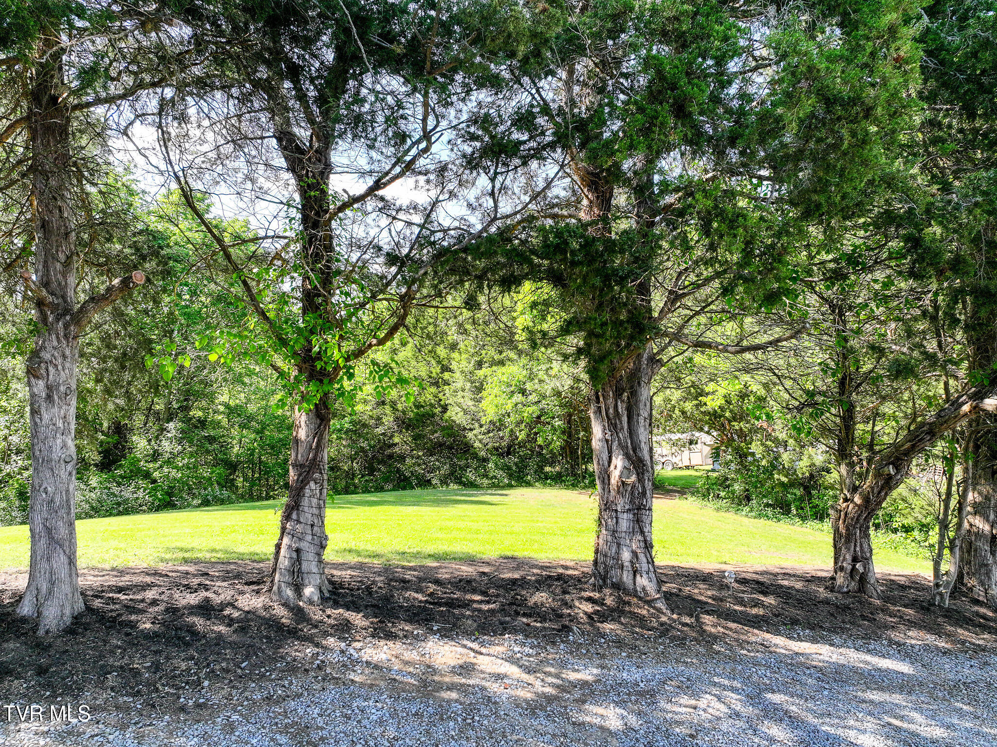 1980 1980 South Allens Bridge Road, Greeneville, Tennessee, 37743, USA, 4 Bedrooms Bedrooms, ,4 BathroomsBathrooms,Residential,For Sale,1980 South Allens Bridge Road,1c90b282-c7a2-433e-bc98-c69cf0