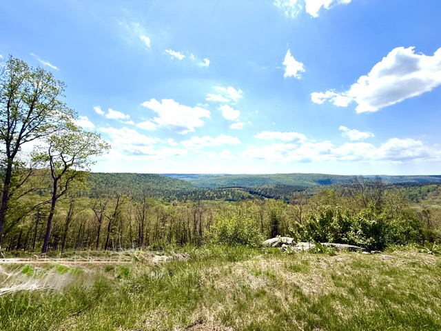 125 125 Mapes Road, Barryville, New York, 12719, USA, 5 Bedrooms Bedrooms, ,4 BathroomsBathrooms,Residential,For Sale,125 Mapes Road,aa92d56b-a59e-44da-a67a-e9124f