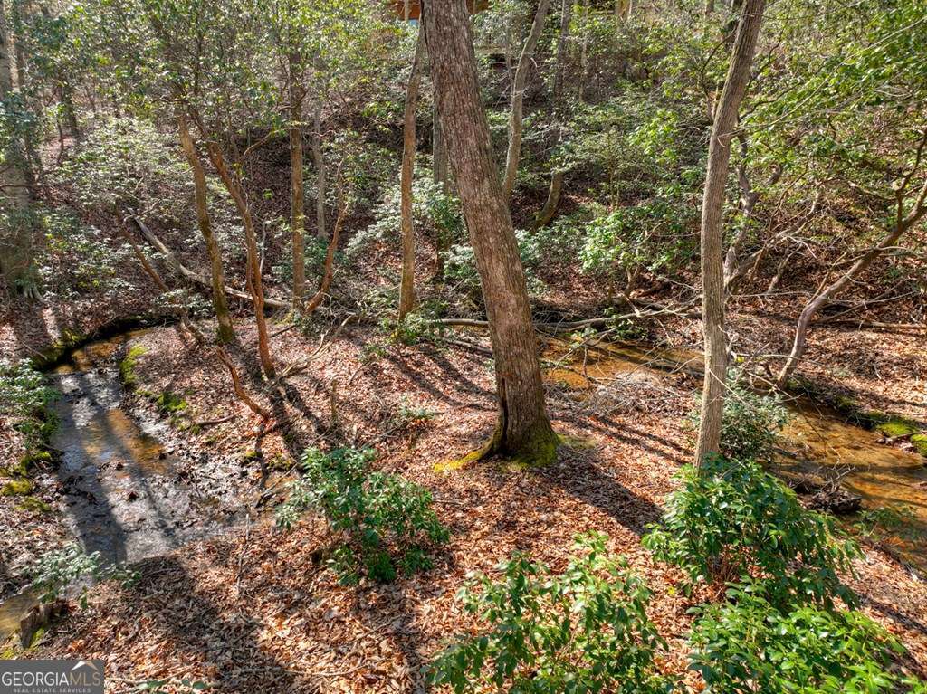 Endless Adventure Awaits where the Heart of the Cohutta Wilderness Are – image 32