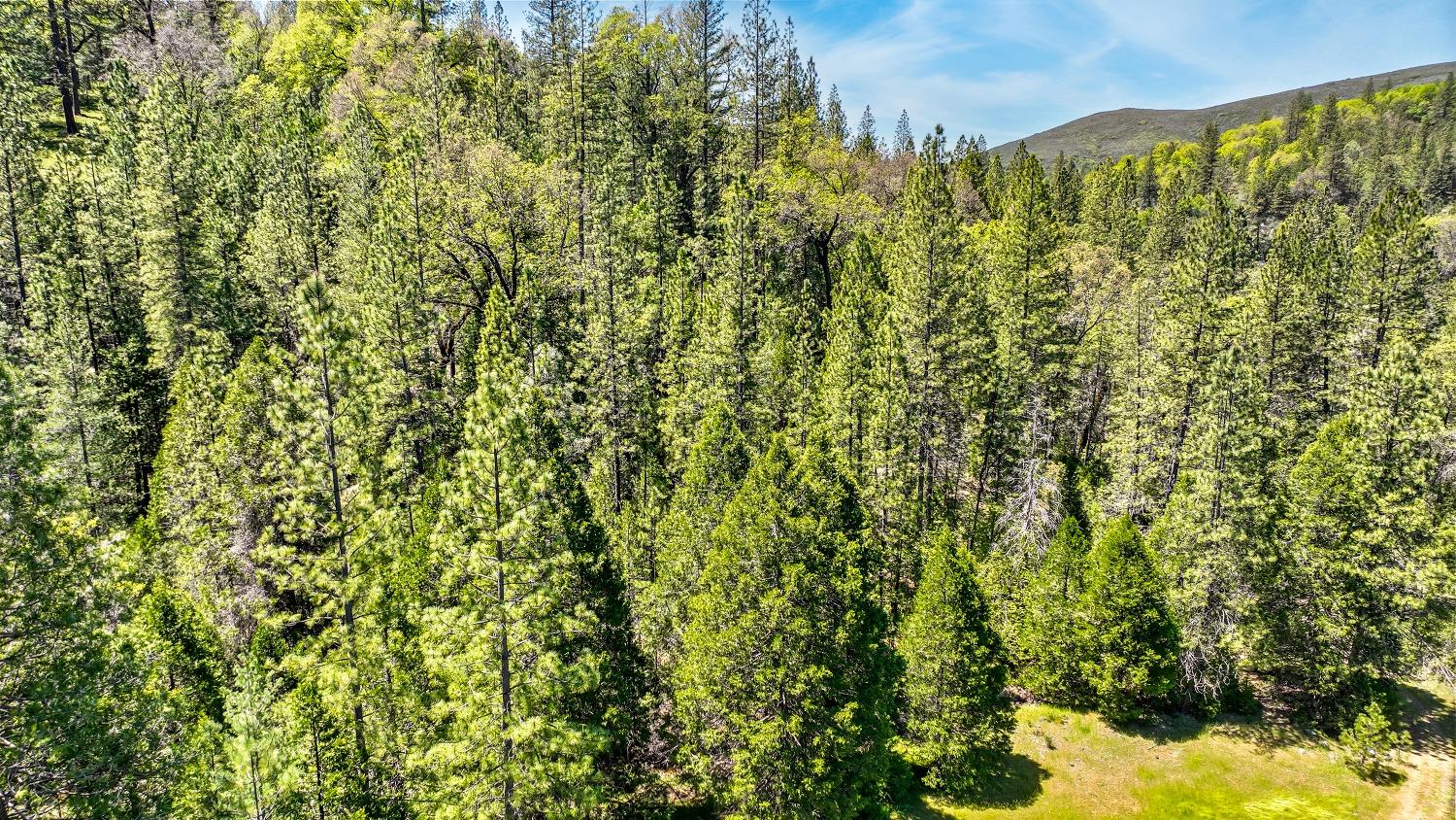 7698 7698 Swiss Ranch Road, Mountain Ranch, California, 95246, USA, ,Land,For Sale,7698 Swiss Ranch Road,226030980