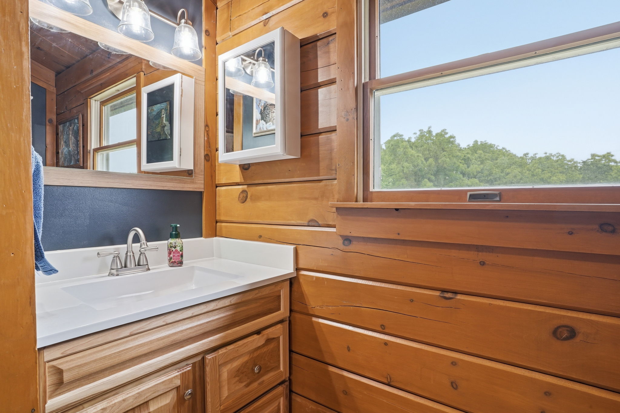 Log Cabin Retreat on 5 AcresEscape to your own private oasis tucked aw – image 29