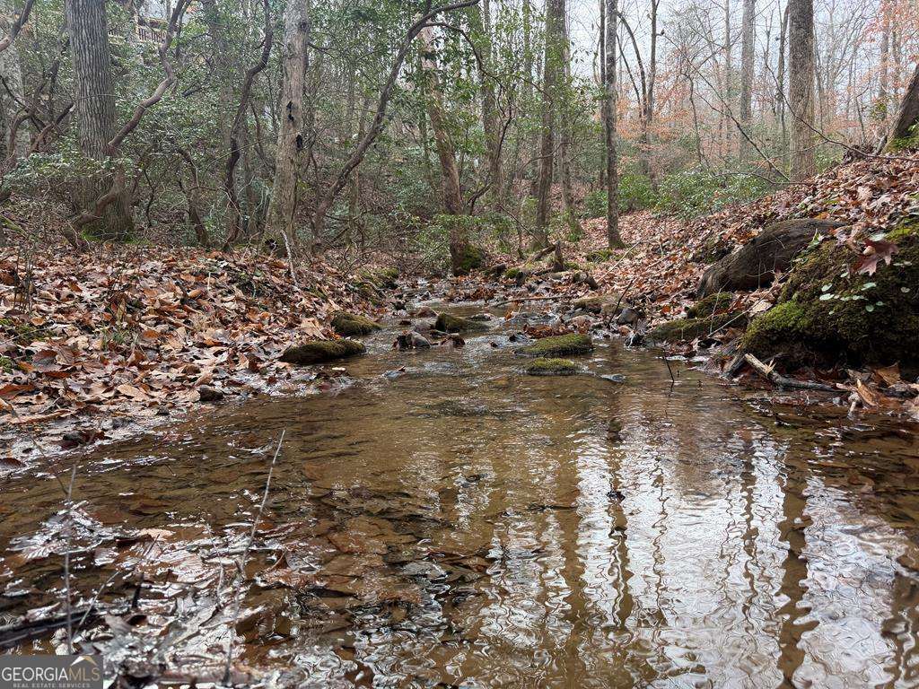 Endless Adventure Awaits where the Heart of the Cohutta Wilderness Are – image 71