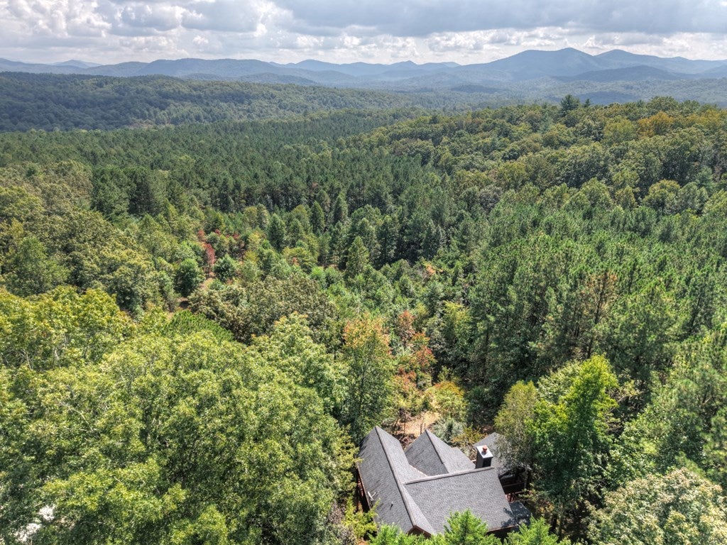 WAKE UP to the Sweeping Long-Range MTN VIEWS EVERY MORNING in this FUL – image 65