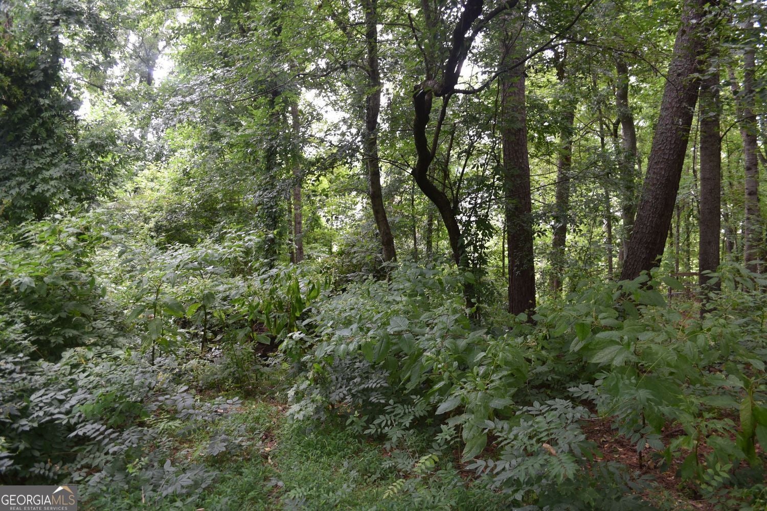 One plus acre in Milton! Purchase this ranch home that is located in c – image 24