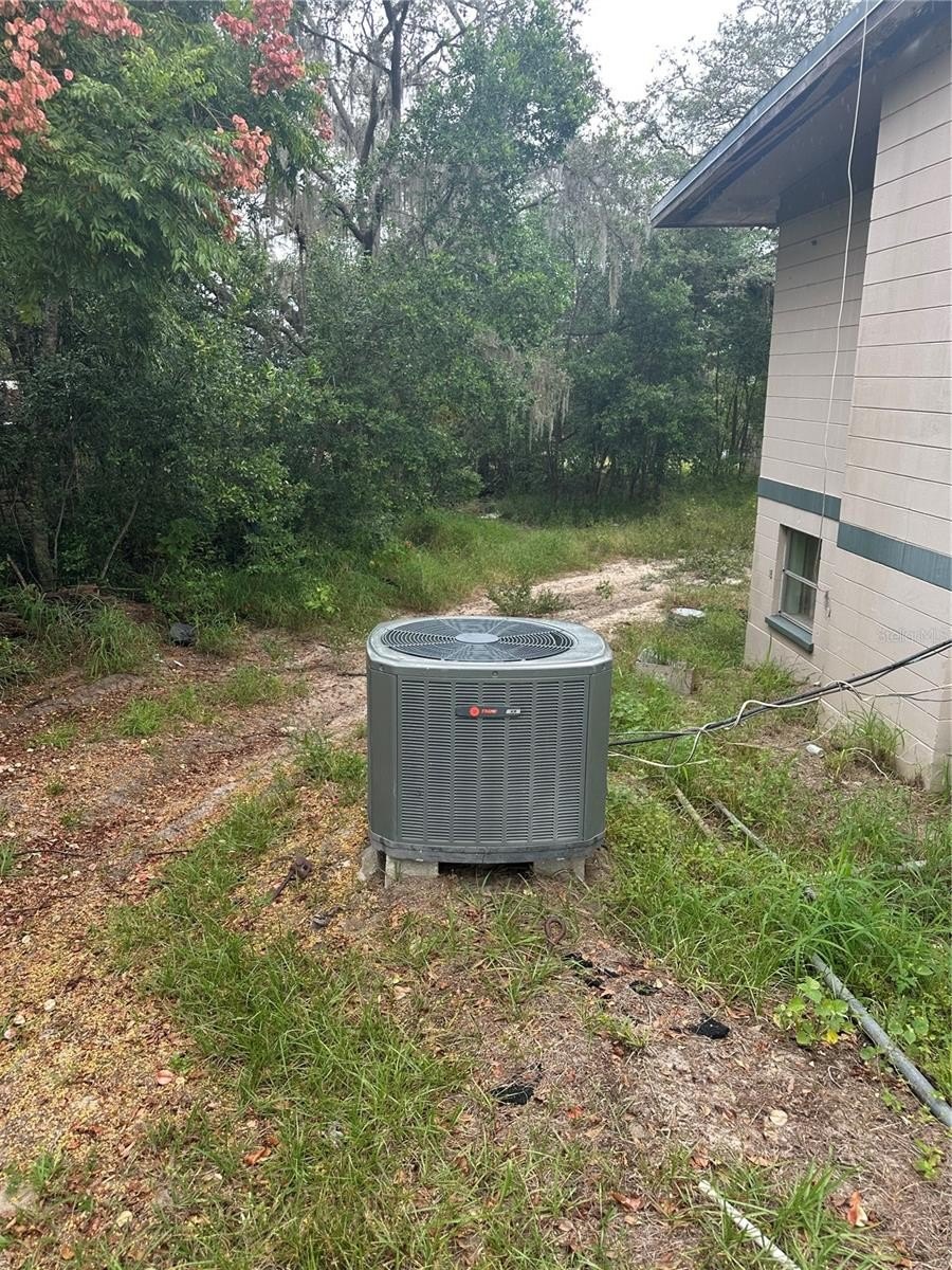 4998 4998 LAKE LOWERY Road, HAINES CITY, Florida, 33844, USA, 3 Bedrooms Bedrooms, ,1 BathroomBathrooms,Residential,For Sale,4998 LAKE LOWERY Road,P4936853