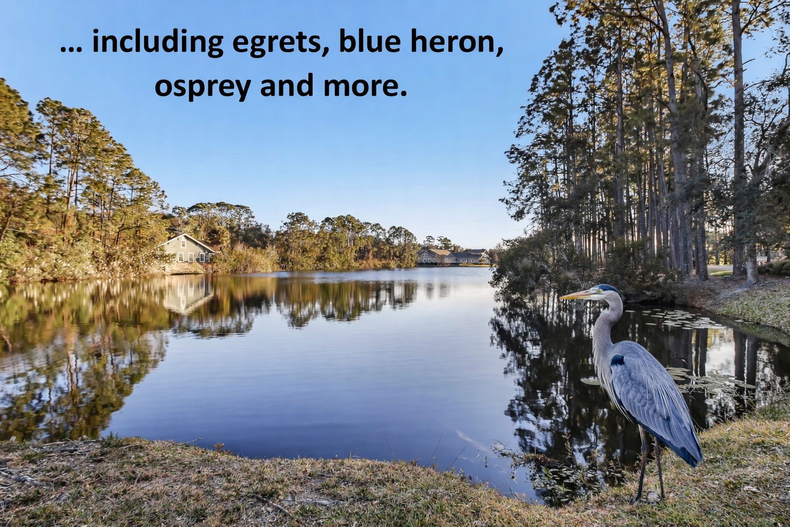 NATURE-FILLED, WALKABLE, AND UNLIKE ANYTHING ELSE ON AMELIA ISLAND, Am – image 61