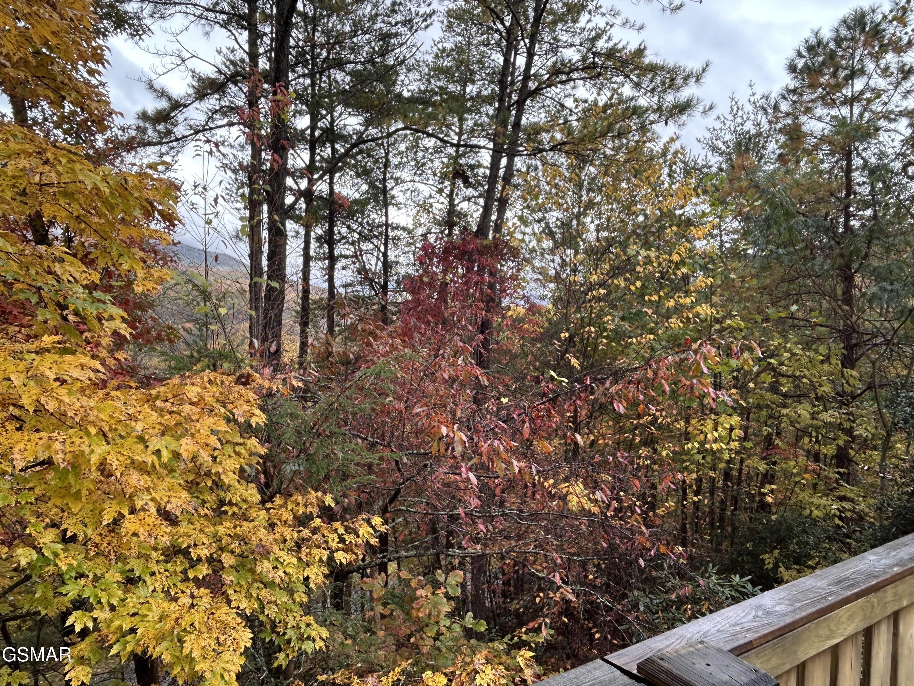317 317 Matterhorn Drive, Gatlinburg, Tennessee, 37738, USA, 2 Bedrooms Bedrooms, ,3 BathroomsBathrooms,Residential,For Sale,317 Matterhorn Drive,308451