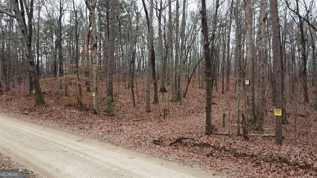 Discover nearly 125 acres of pristine, wooded land nestled in the hear – image 5