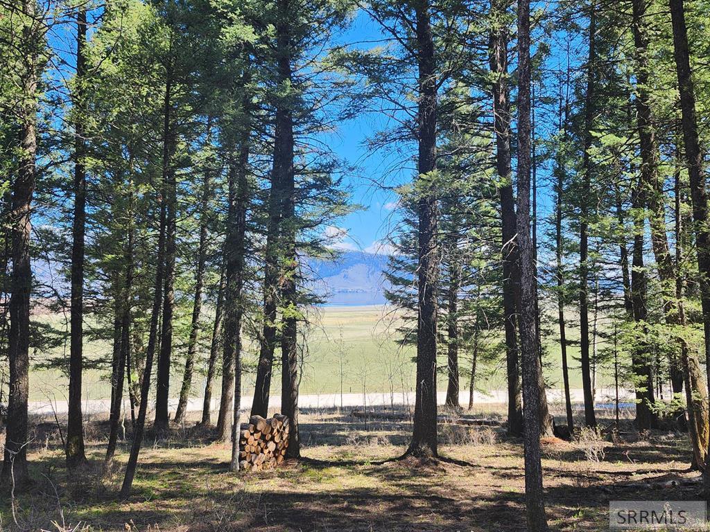 IMMACULATE LOG CABIN - AMAZING HIGH END FURNISHINGS INCLUDED - BORDERS – image 67