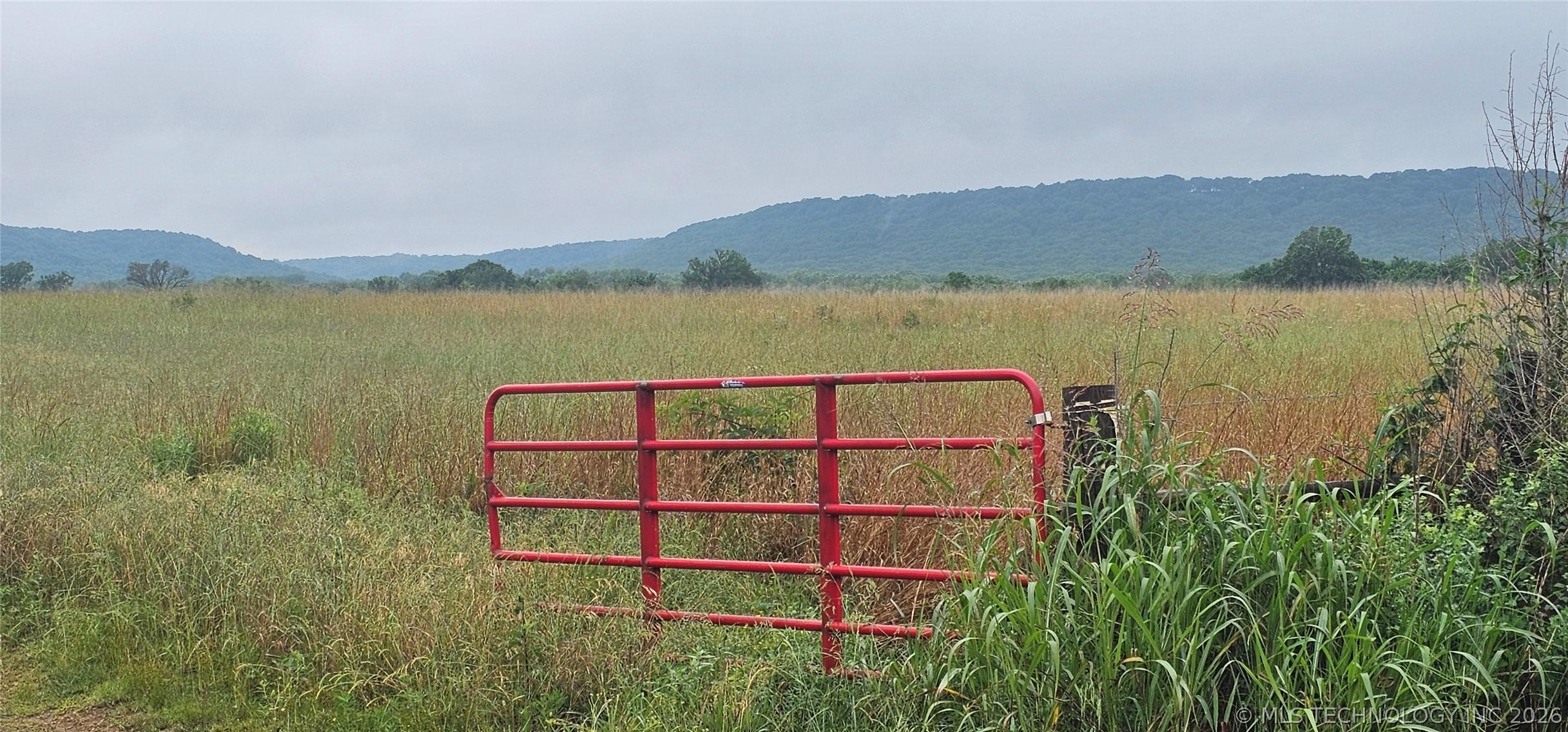 196 +/- premium pasture acres ideal for grazing or hay production with – image 6
